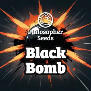 Black Bomb