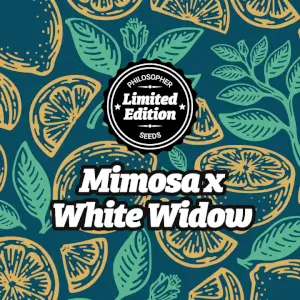 Mimosa x White Widow Promo Philosopher Seeds