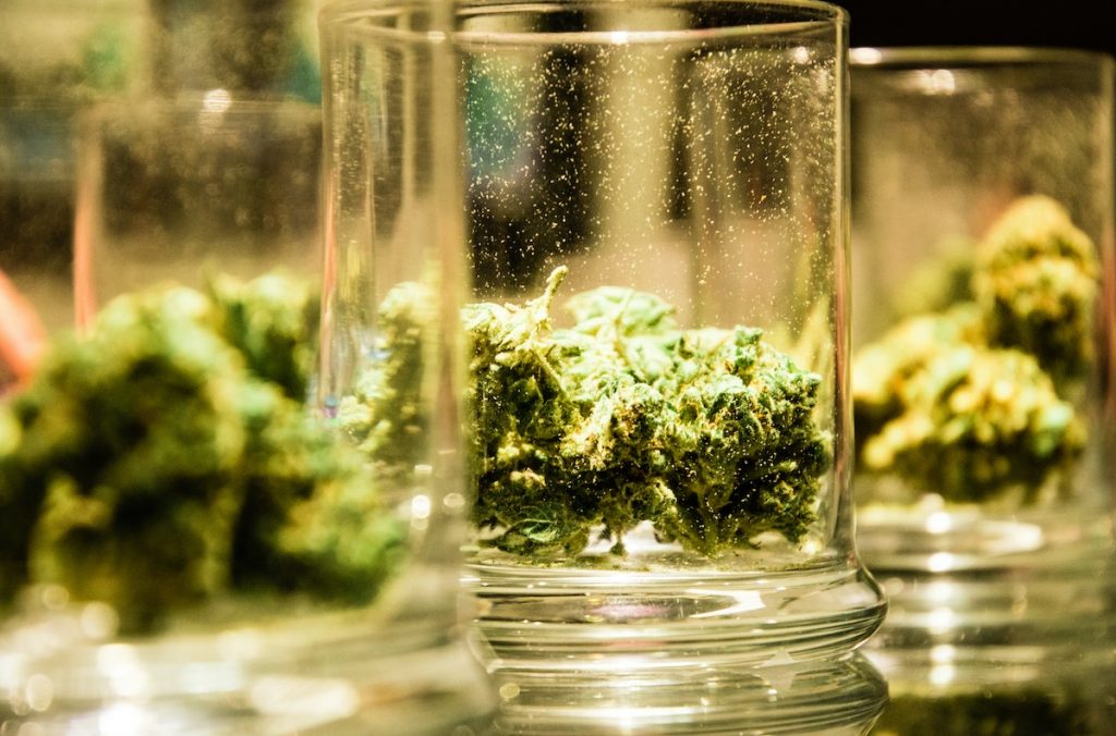 Fast jeden Tag erfahren wir etwas Neues über die Cannabispflanze, da die Wissenschaft immer tiefer in ihre Biologie und Chemie eindringt