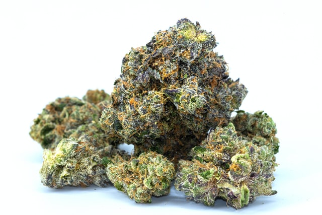 La cannabis può contenere un gran numero di terpeni diversi 
