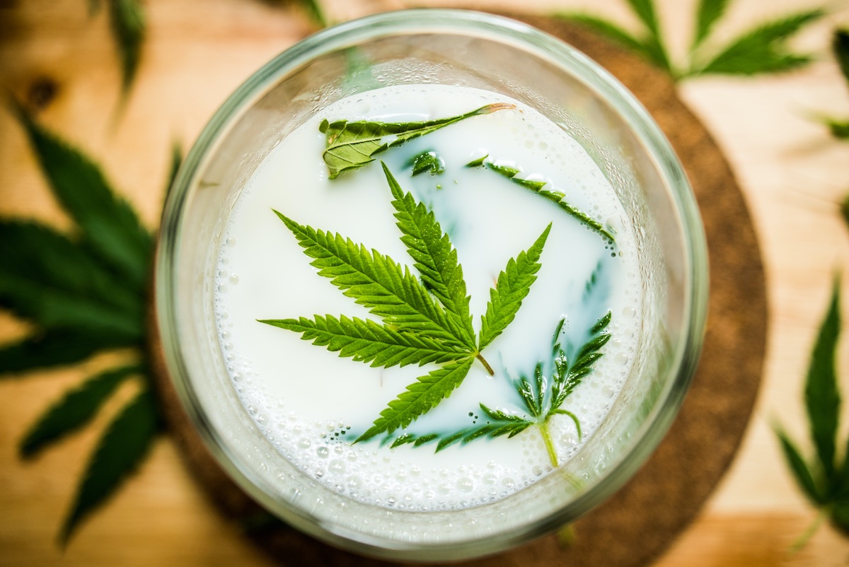 How to make cannabis milk