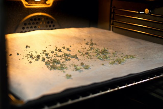 A melhor maneira de descarboxilar a cannabis é no forno, durante 45 a 50 minutos a uma temperatura de 105°C, mas isso também pode ser feito mais rapidamente, em apenas 30 minutos, elevando a temperatura até 120°C, no máximo. Acima desta temperatura, alguns terpenoides começam a volatilizar-se.