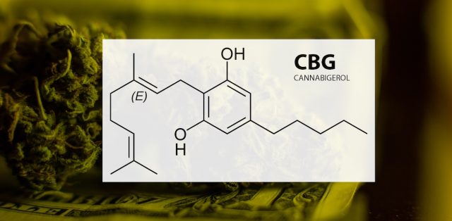 Different molecular structures mean that CBD and CBG have different three-dimensional forms and, therefore bind to the body's cannabinoid receptors in different ways