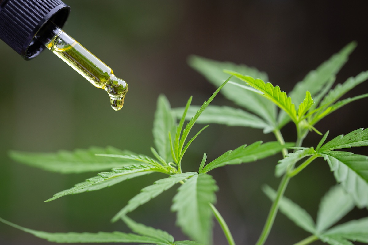 CBG (Cannabigerol): Efectes i propietats