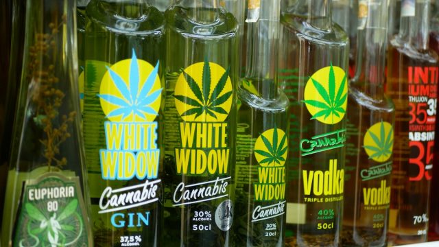 Cannabis-Spirituosenmarken füllen die Regale der einschlägigen Geschäfte