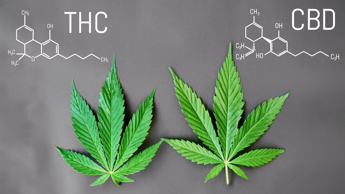 What are CBD:THC ratios and what are their benefits?