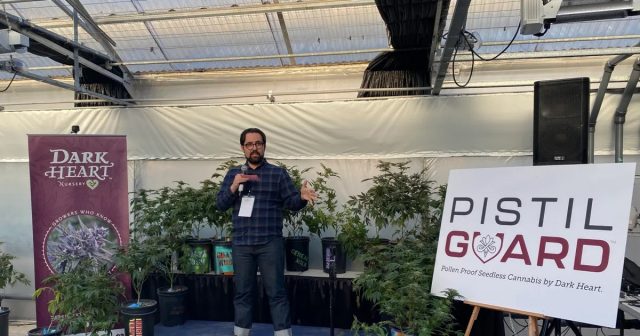 Pressekonferenz von Dark Heart Industries zur Ankündigung des ersten pollenresistenten Cannabis der Welt