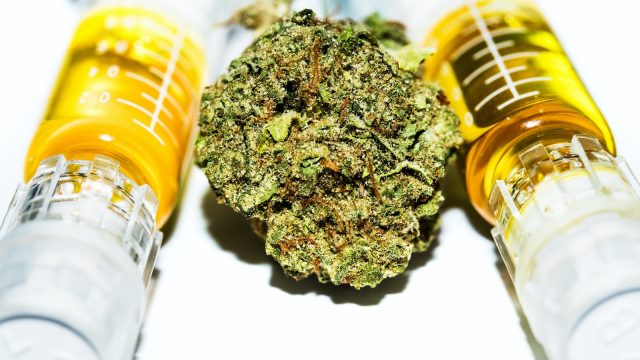 La marihuana ofereix una font de CBD més abundant que el cànem. És a dir, cal una quantitat molt més gran de material vegetal per extreure la mateixa quantitat d'oli de CBD del cànem que de la marihuana