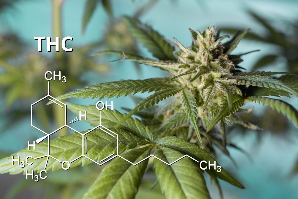 THC chemical structure