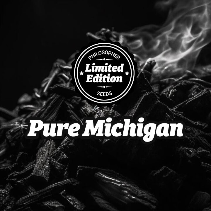 Pure Michigan, cogollos como rocas y efecto demoledor