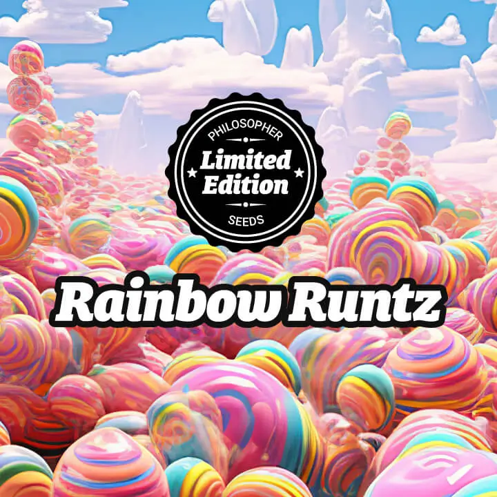Rainbow Runtz, una nueva estrella en el firmamento