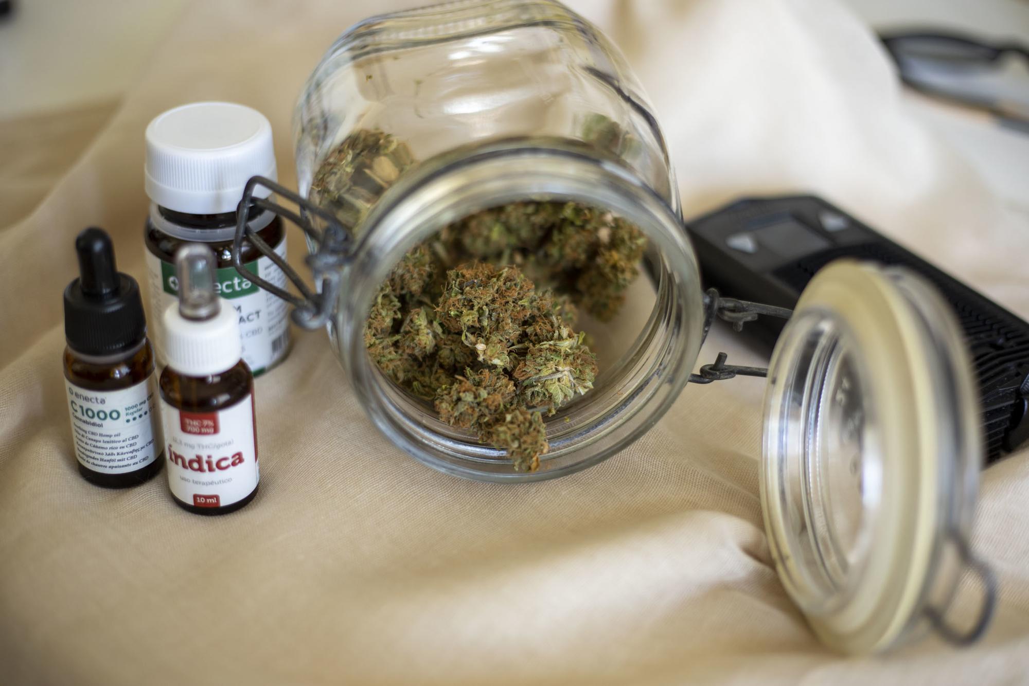 Para elaborar aceites es imprescindible conocer la composición de la planta. Fuente: El Salto