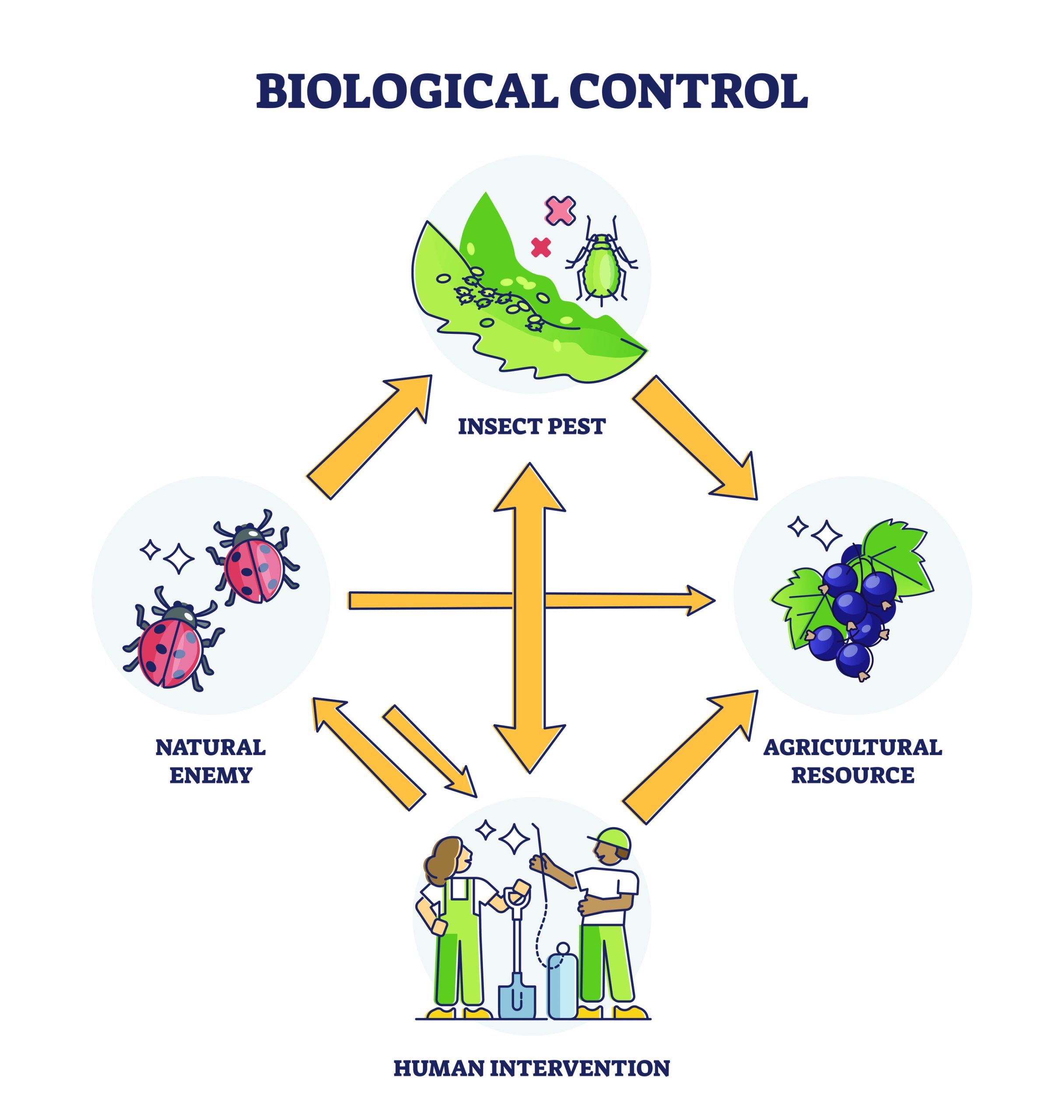 Es importante intervenir cuando se detecta un problema de plagas