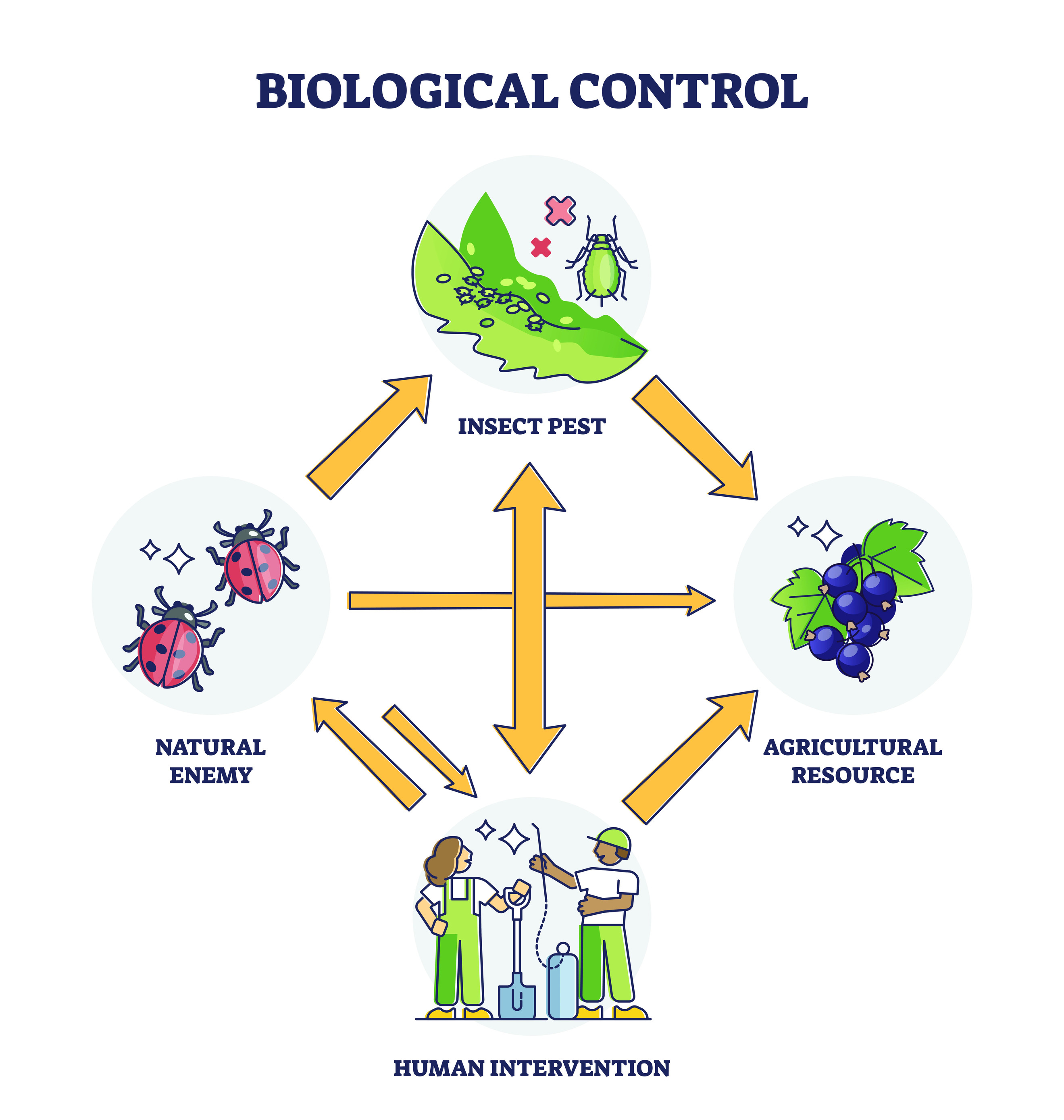 hacer-pesticidas-caseros-autocultivo-marihuana
