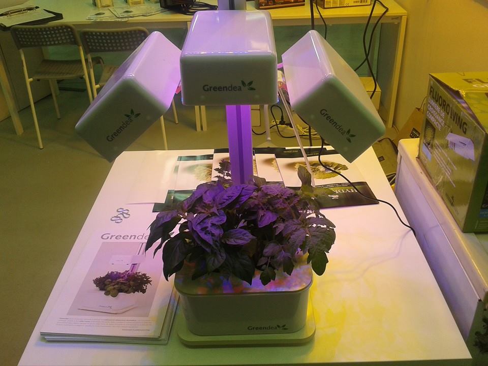 Mini grow room