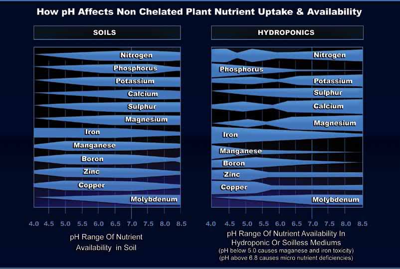 Cannabis Ph Nutrient Uptake Chart