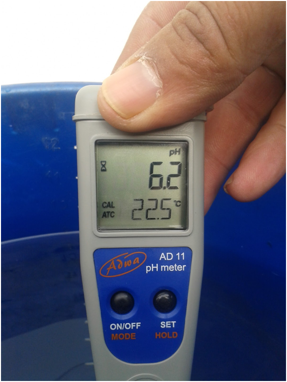 pH and EC in marijuana growing