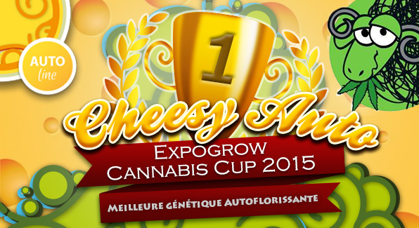 CHEESY-AUTO_CAMPIONA_EXPOGROW_FRANC.jpg