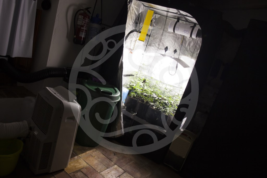 Marihuana Growbox