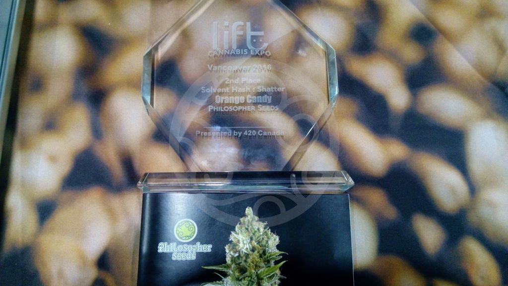 Secondo premio per estrazione con solvente vinta da Philosopher Seeds