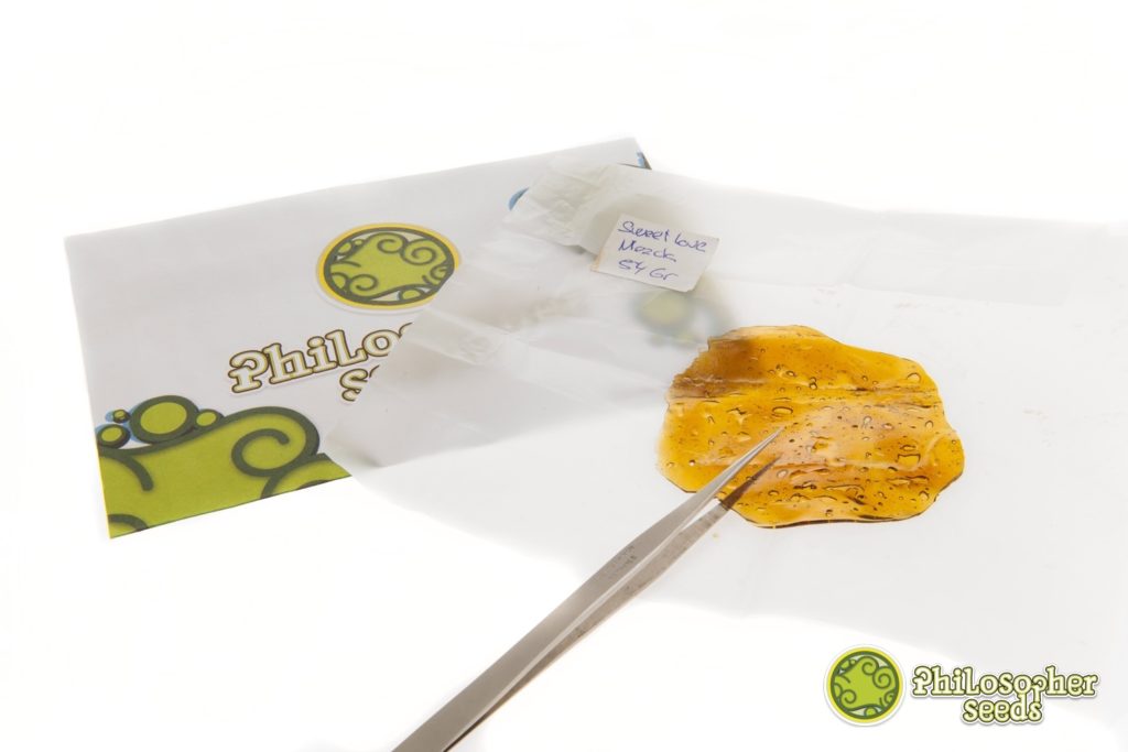 Extraction de Sweet Love riche en cannabinoïdes