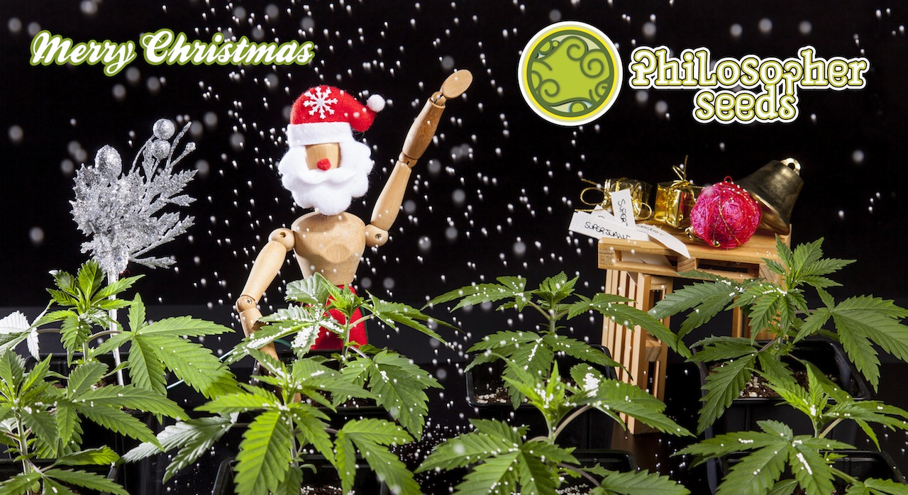 Navidad-2014-Banner.jpg