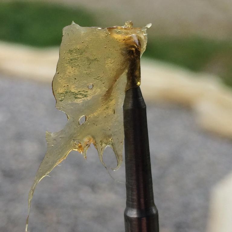 Rosin Hash without contaminants (Picture: Theenglishcut)