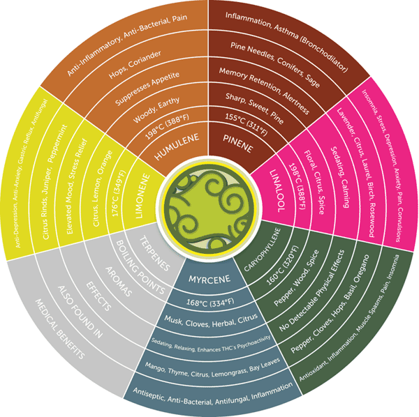 Primary Terpenes Chart