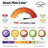 Slush Mint Cake