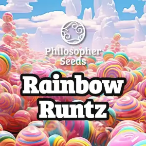 Philosopher Seeds Rainbow Runtz Fem Promo