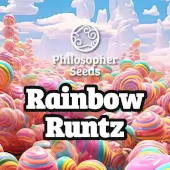 Philosopher Seeds Rainbow Runtz Fem Promo