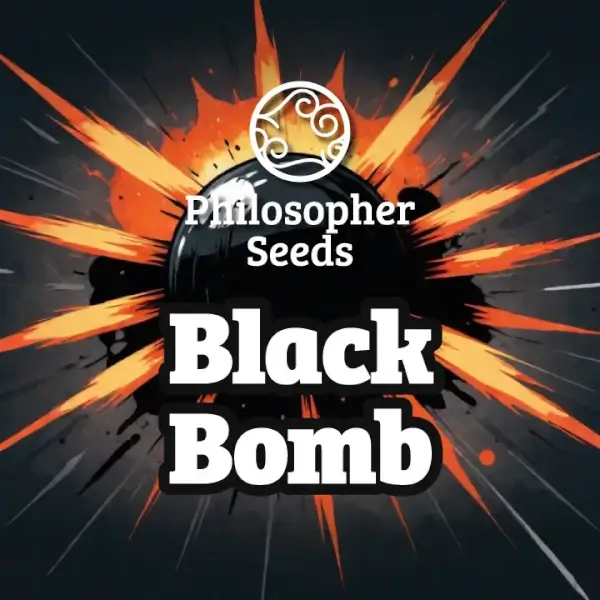 Black Bomb
