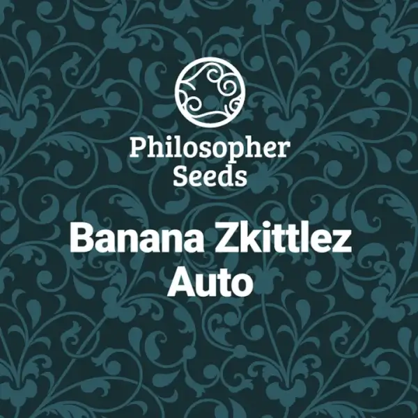 Banana Zkittlez Auto