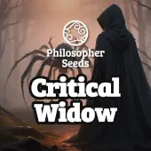 Critical Widow