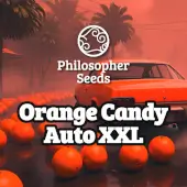 Orange Candy Auto XXL
