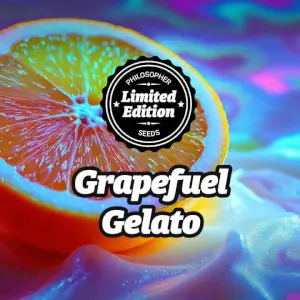 Grapefuel Gelato