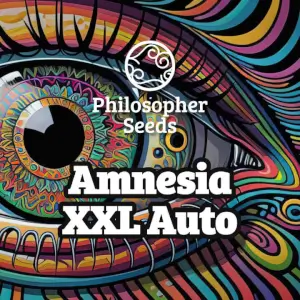 Amnesia XXL Auto