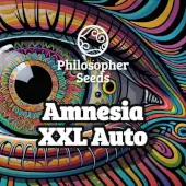 Amnesia XXL Auto