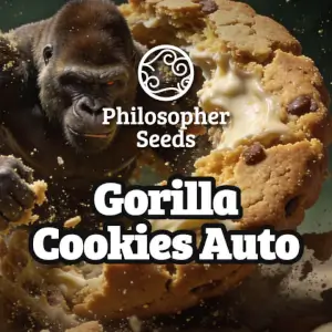Gorilla Cookies Auto
