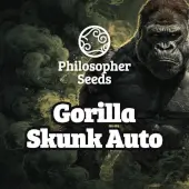 Gorilla Skunk Auto