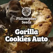 Gorilla Cookies Auto