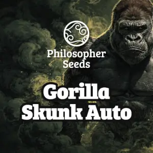 Gorilla Skunk Auto