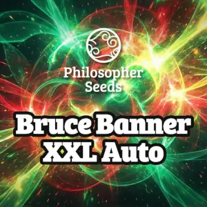 Bruce Banner XXL Auto