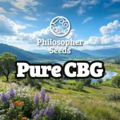 Pure CBG 