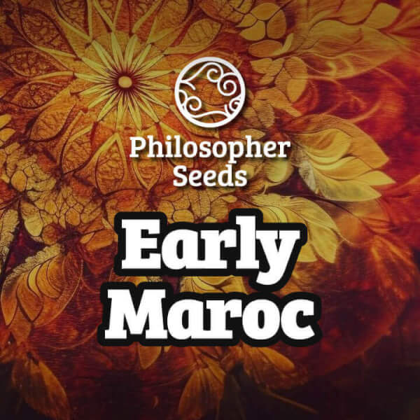 Early Maroc