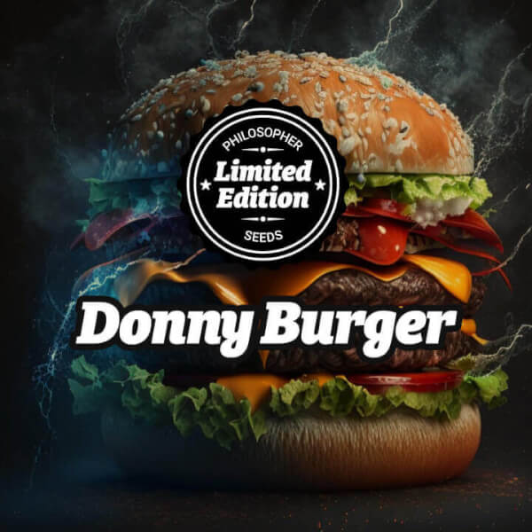 Donny Burger (GMO)