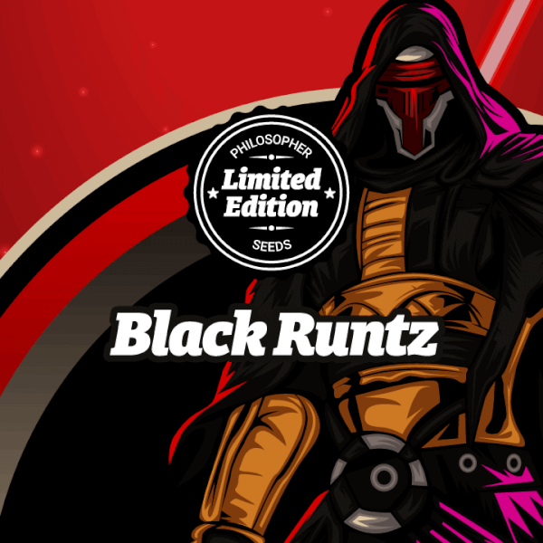 Black Runtz