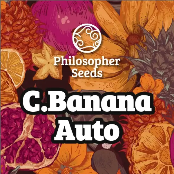 C.Banana Auto 