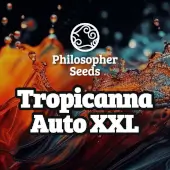 Tropicanna Auto XXL