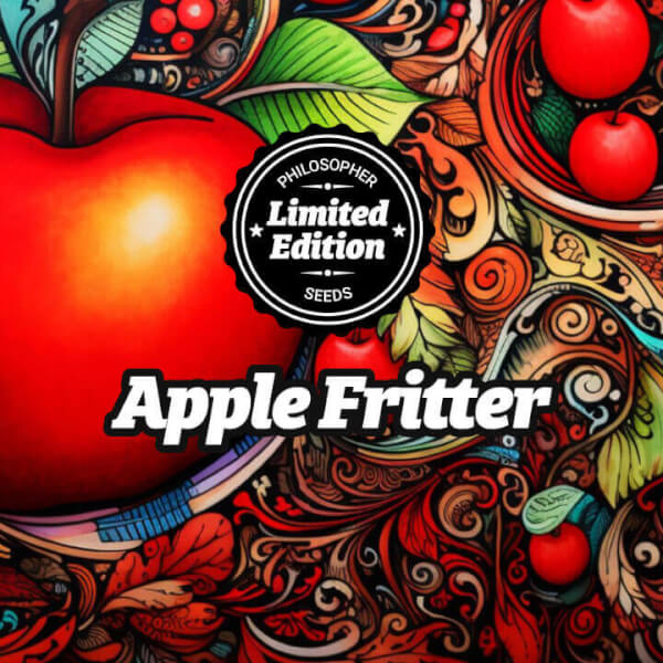 Apple Fritter